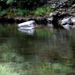Trout Union Cup 2013 – ден втори