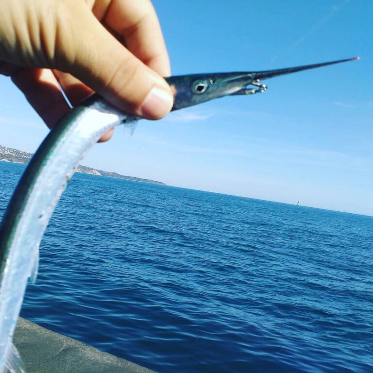 Изкуствени примамки за light rock fishing - част 2ра - пелагични риби